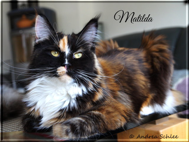 Matilda 17-04-30