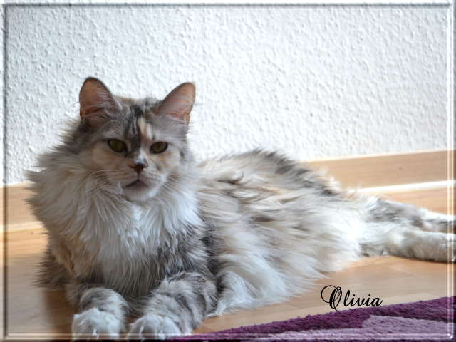 Olivia 13-10-05