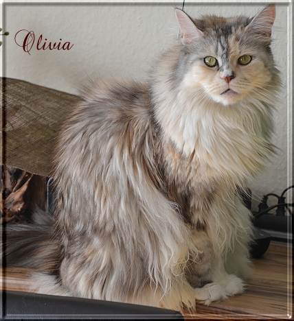 Olivia 14-10-16