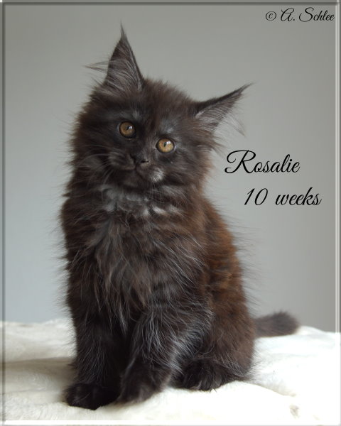 Rosalie 19-05-26
