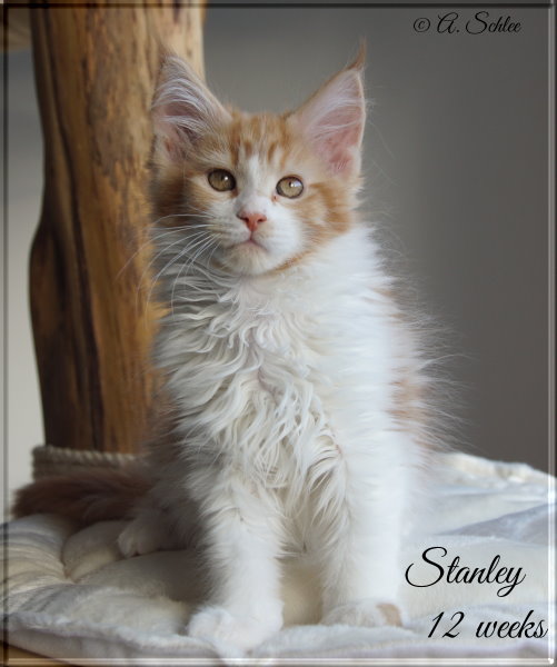 Stanley 19-01-02